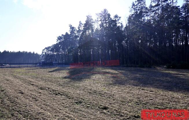 SCHODNIA/Piękna działka bud. przy lesie! 17a