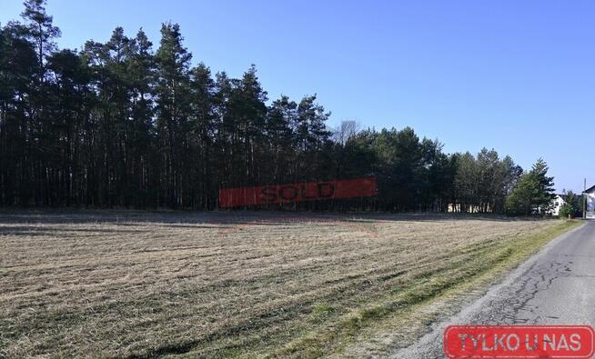 SCHODNIA/Piękna działka bud. przy lesie! 17a