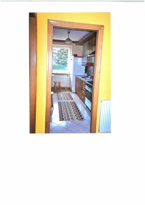 Mieszkanie do wynajęcia