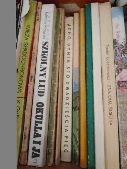 Sprzedam książki gł klasyka lektur z domowej biblioteczki