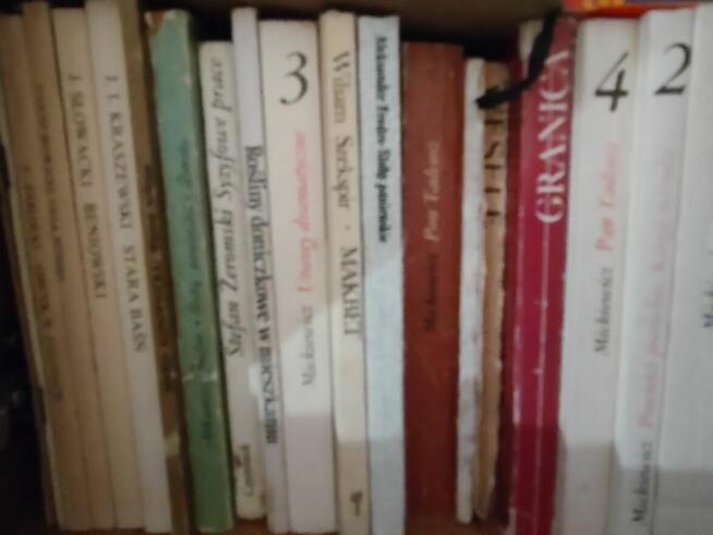 Sprzedam książki gł klasyka lektur z domowej biblioteczki