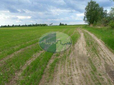 Okolice Sulechowa duża działka rolna ze stawem i lasem