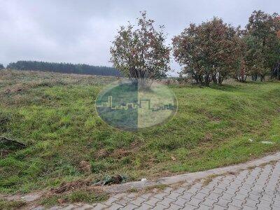 PRAWDZIWA GRADKA DLA INWESTORA