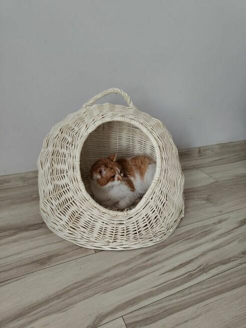 Domek wiklinowy dla kota