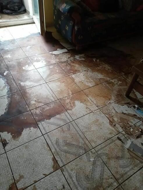 Oferuję profesjonalne sprzątanie mieszkań i domów .Zapraszam