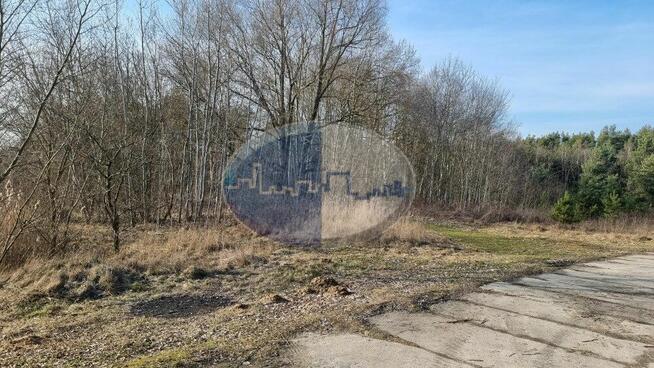 Działka koło Sulechowa