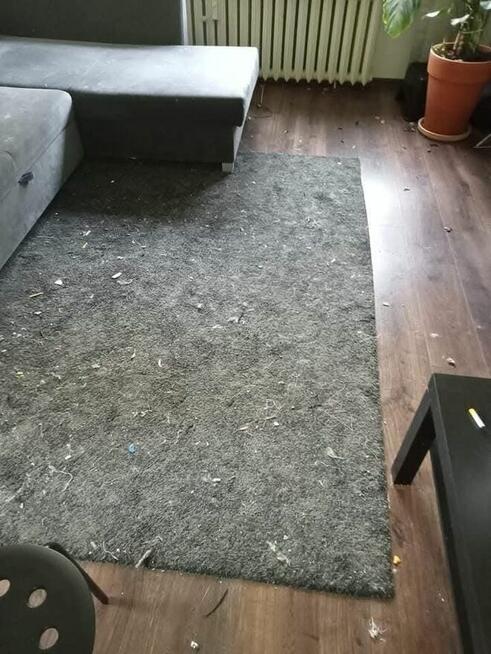 Oferuję profesjonalne sprzątanie mieszkań i domów .Zapraszam