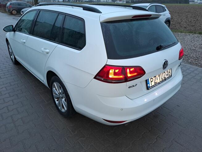 VW Golf