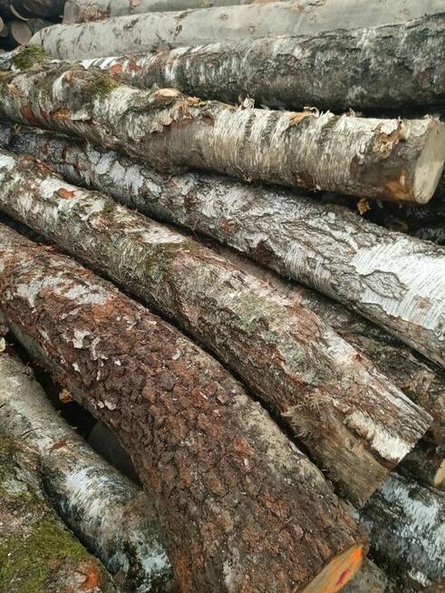 Drewno opałowe kominkowe