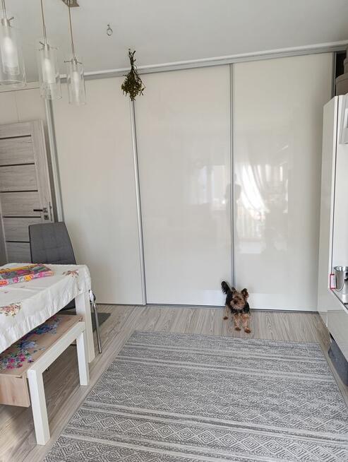 Zamienię mieszkanie