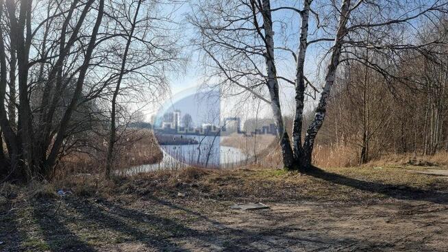 Działka koło Sulechowa