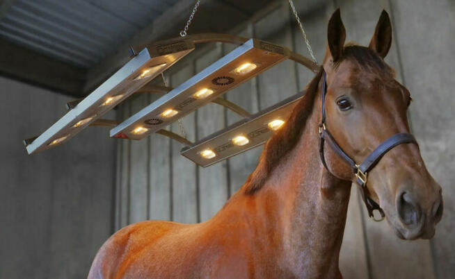 Solarium dla Koni Drimee Sirocco