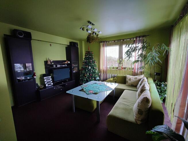 Dom wolnostojący 240 m² z działką 7,21 ara – Strzyżów