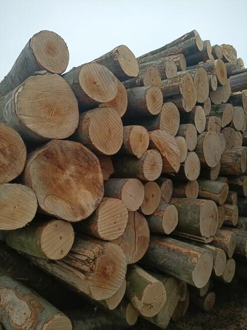 Drewno opałowe kominkowe