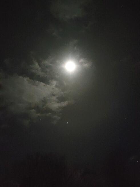 Szukam księżniczki