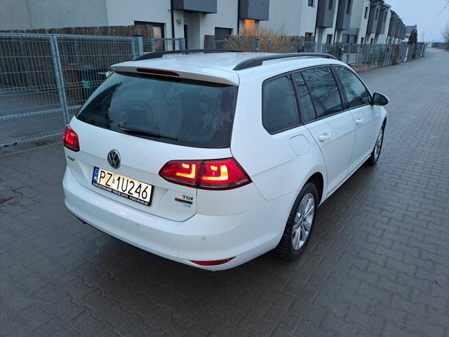 VW Golf