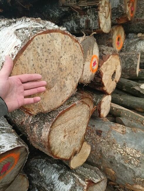 Drewno opałowe kominkowe