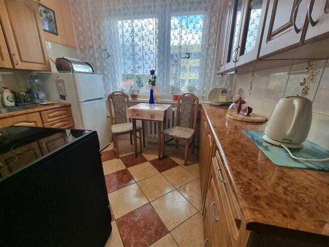 Okonek Mieszkanie dwupokojowe z balkonem