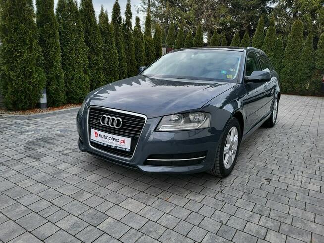 Audi A3 ** 2,0 TDI ** QUATTRO ** Bezwypadkowy **