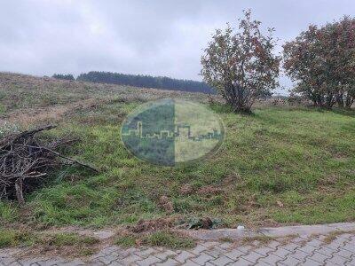 Prawdziwa gradka dla inwestora