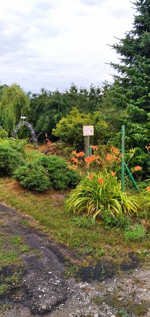 działka pod budowę