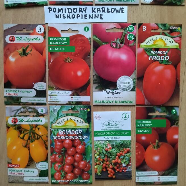 Rozsada sadzonki flance pomidorów wiele odmian papryka