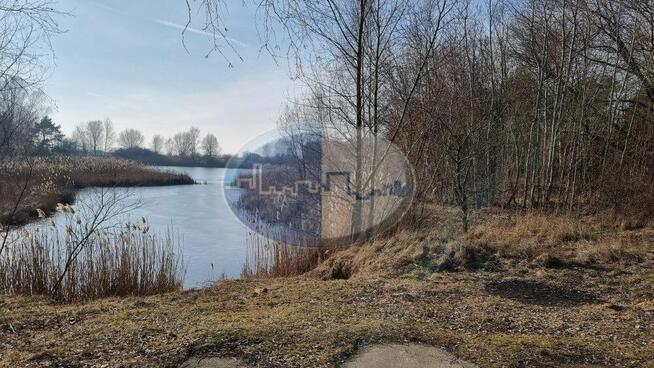 Działka koło Sulechowa