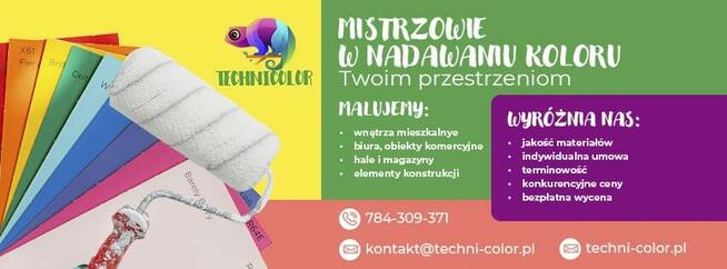 TANIE! Profesjonalne usługi malarskie - Technicolor