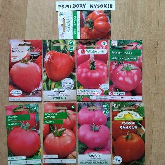 Rozsada sadzonki flance pomidorów wiele odmian papryka