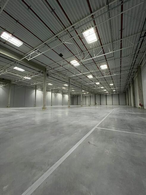 DO WYNAJĘCIA – Nowoczesna powierzchnia magazynowo-produkc