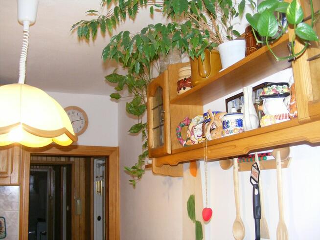 Do wynajecia pokój 10,6 m2 w mieszkaniu 55 m2 Bródno