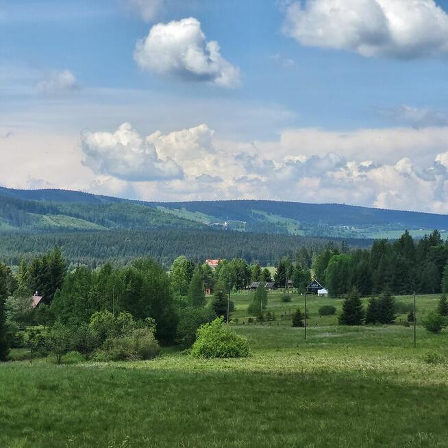 Wielkanoc w Górach - Lasówka www.dzikakonwalia.pl