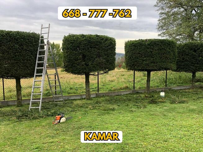 Koszenie trawy, przycinanie koron drzew i drzewek, żywopłot