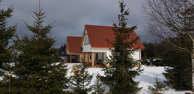 Ferie w Górach? Zieleniec Lasówka www.dzikakonwalia.pl