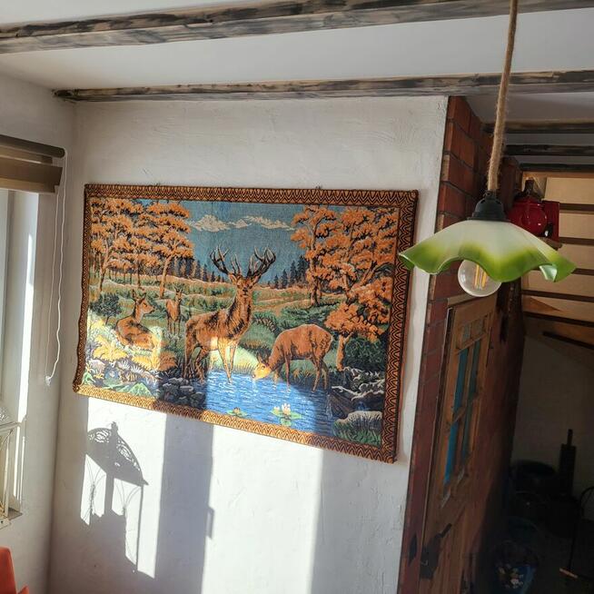 Ferie w Górach? Zieleniec Ski Arena Lasówka