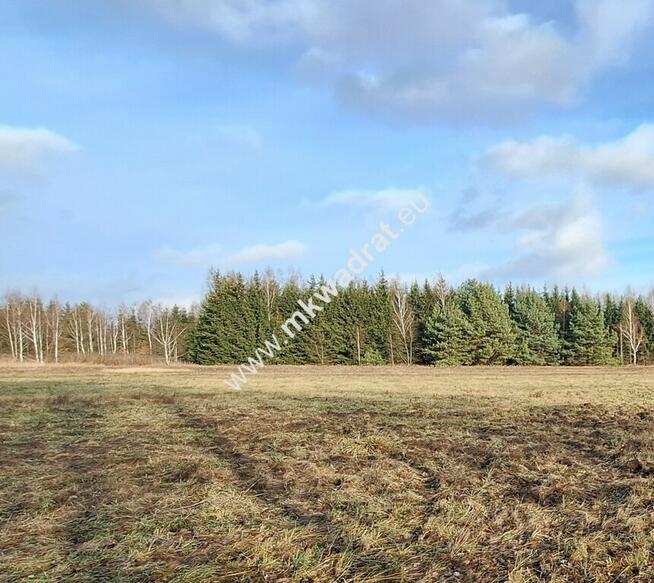Niedroga działka w uroczej okolicy