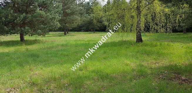 Działka 1236m2 w sąsiedztwie lasu Ojrzanów