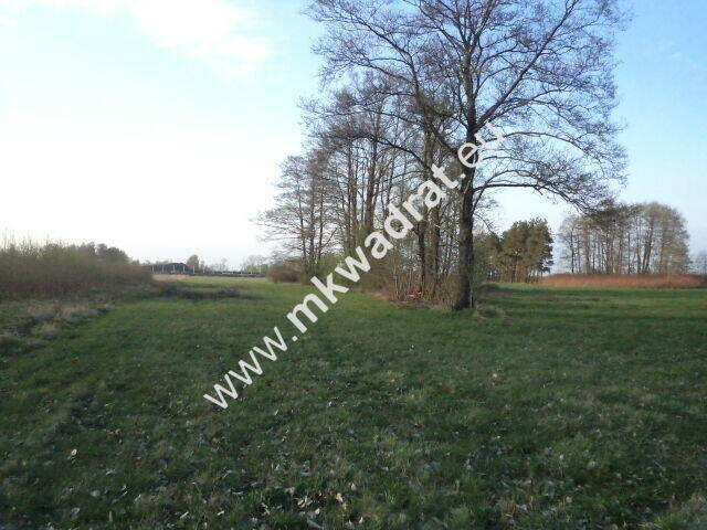 Atrakcyjne siedlisko 1.2ha Piękna działka lux cena