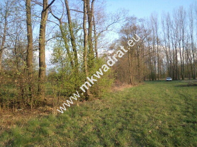 Atrakcyjne siedlisko 1.2ha Piękna działka lux cena