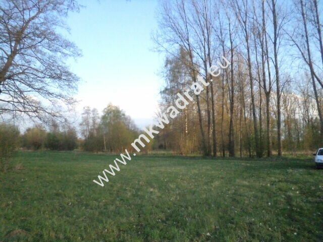 Atrakcyjne siedlisko 1.2ha Piękna działka lux cena