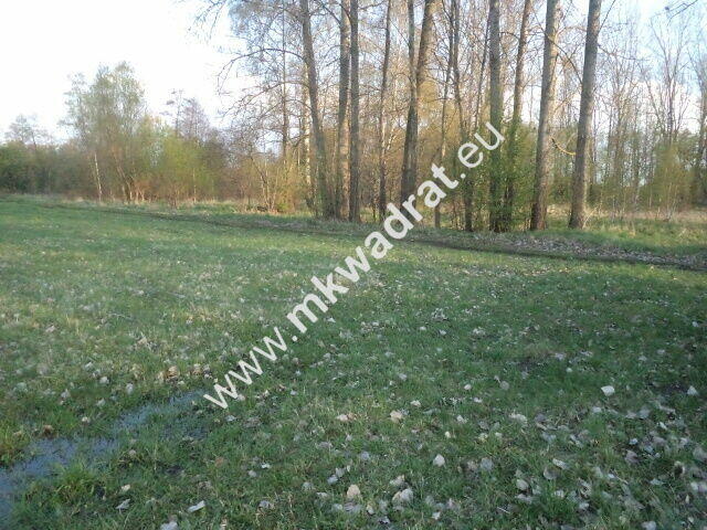 Atrakcyjne siedlisko 1.2ha Piękna działka lux cena