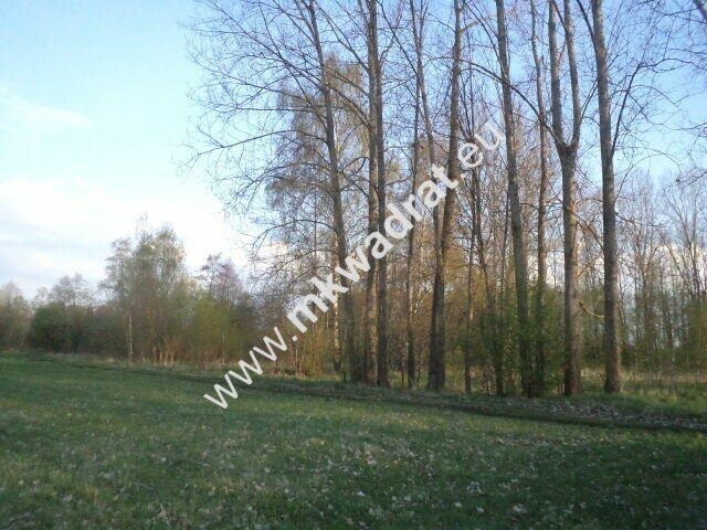 Atrakcyjne siedlisko 1.2ha Piękna działka lux cena