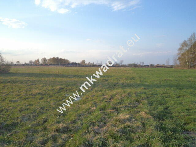 Atrakcyjne siedlisko 1.2ha Piękna działka lux cena