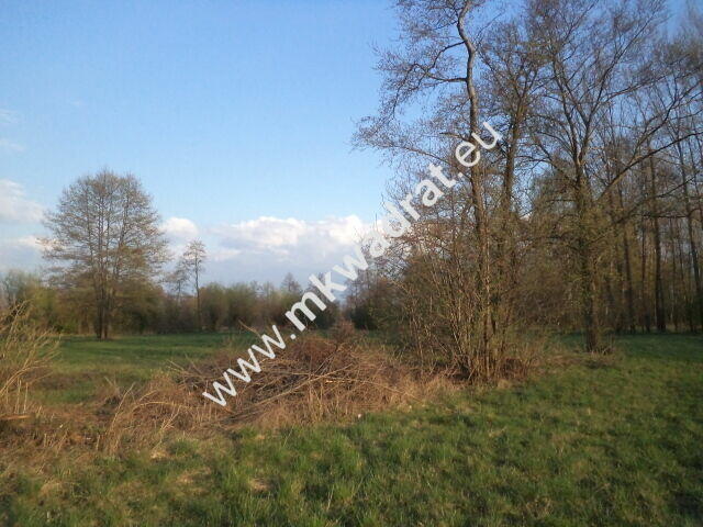 Atrakcyjne siedlisko 1.2ha Piękna działka lux cena