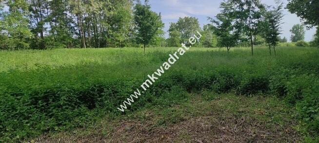 Piękna działka z Bukową Aleją wydane WZ