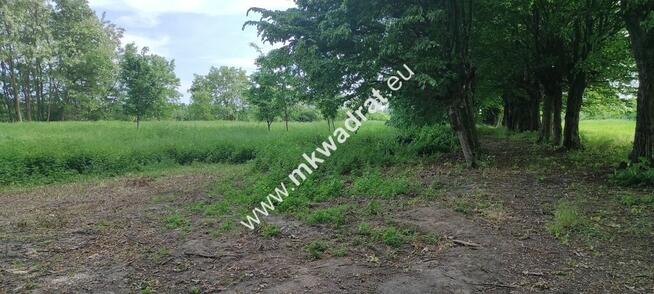 Piękna działka z Bukową Aleją wydane WZ