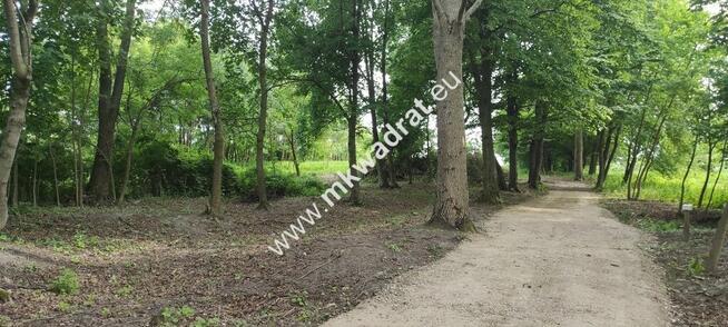 Piękna działka z Bukową Aleją wydane WZ