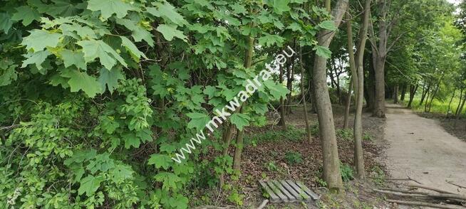 Piękna działka z Bukową Aleją wydane WZ