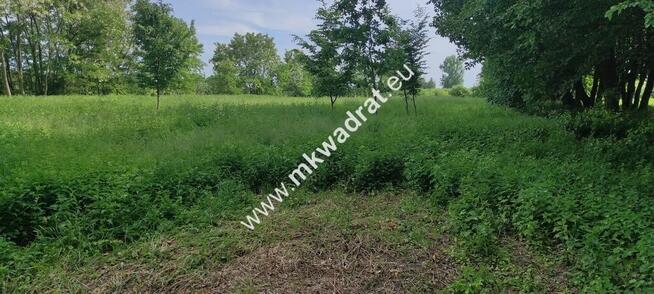 Piękna z Bukową Aleją wydane WZ 4 km od Sochaczewa