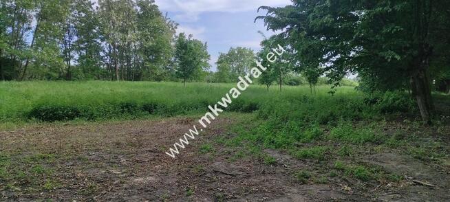 Piękna z Bukową Aleją wydane WZ 4 km od Sochaczewa